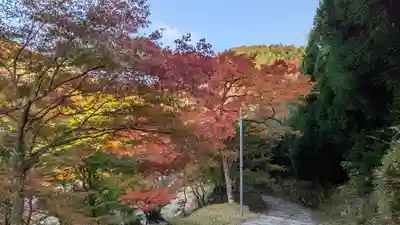 神護寺(京都府)