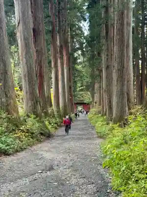 戸隠神社九頭龍社(長野県)