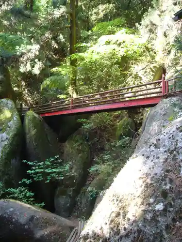 名草厳島神社の自然
