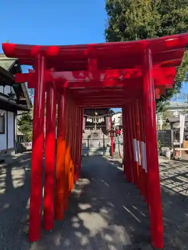 相模原氷川神社(神奈川県)