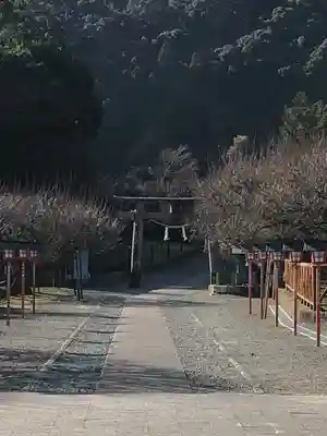 菅原神社(鹿児島県)