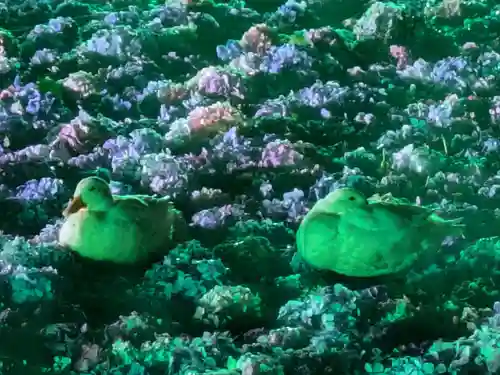 楽法寺（雨引観音）の動物