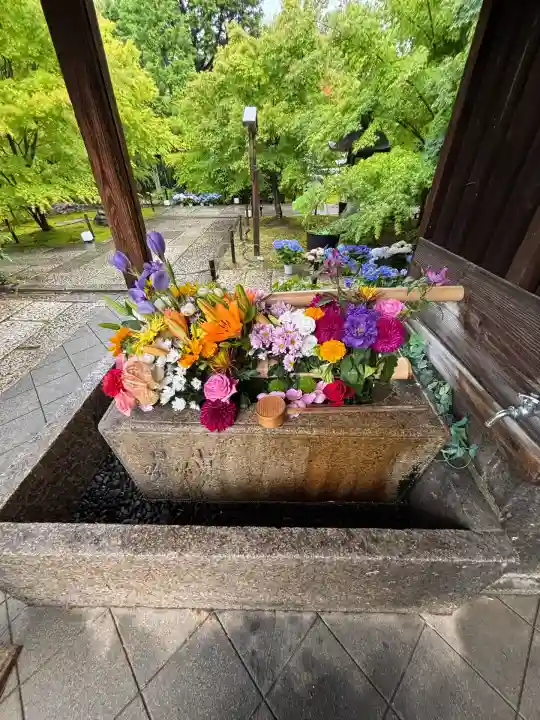 勝林寺(京都府)