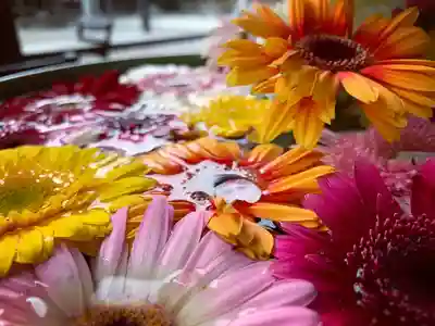 滑川神社 - 仕事と子どもの守り神の手水舎