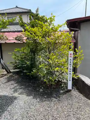 大鏑神社(福島県)