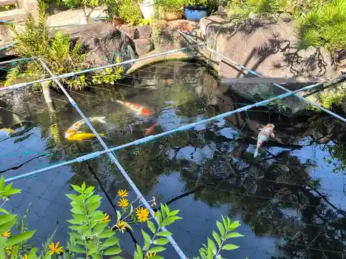 興徳寺(大阪府)