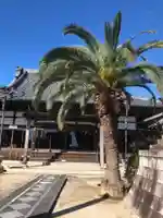 東光寺(愛知県)