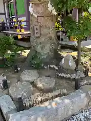 高木神社の自然