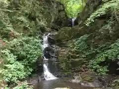 九頭龍神社の自然