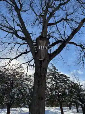 厚別神社(北海道)