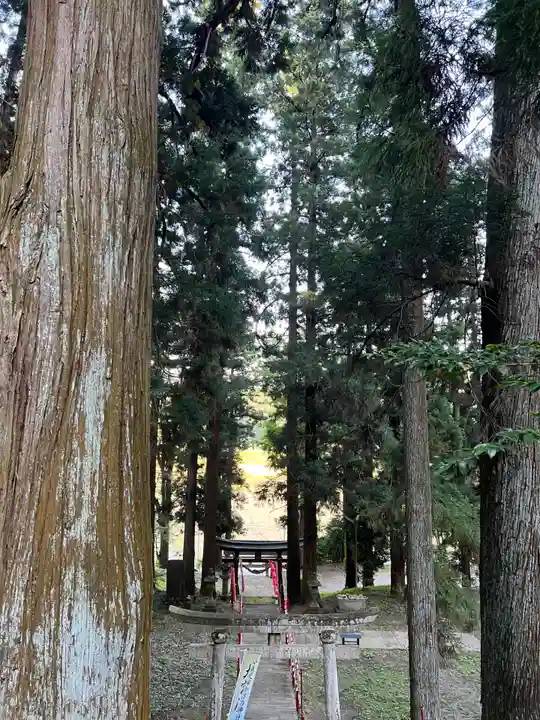 大宮温泉神社(栃木県)