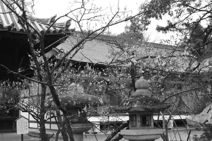 長浜八幡宮の自然