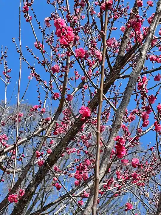 常磐神社(茨城県)