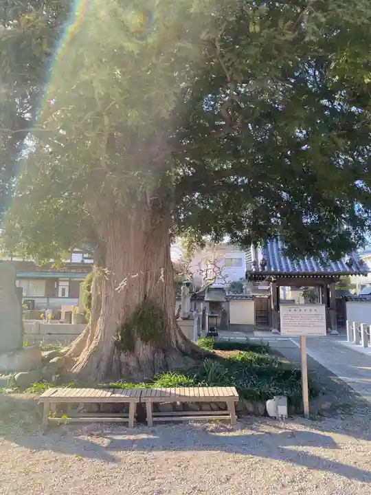 石田寺(東京都)