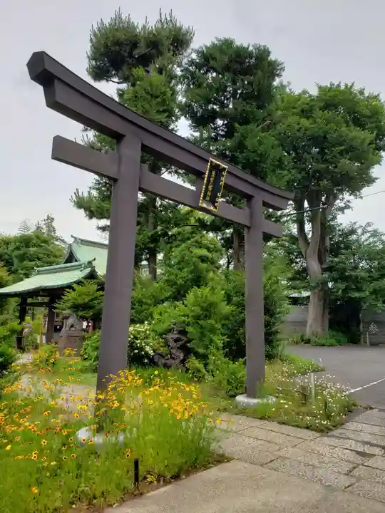鷺宮八幡神社の鳥居