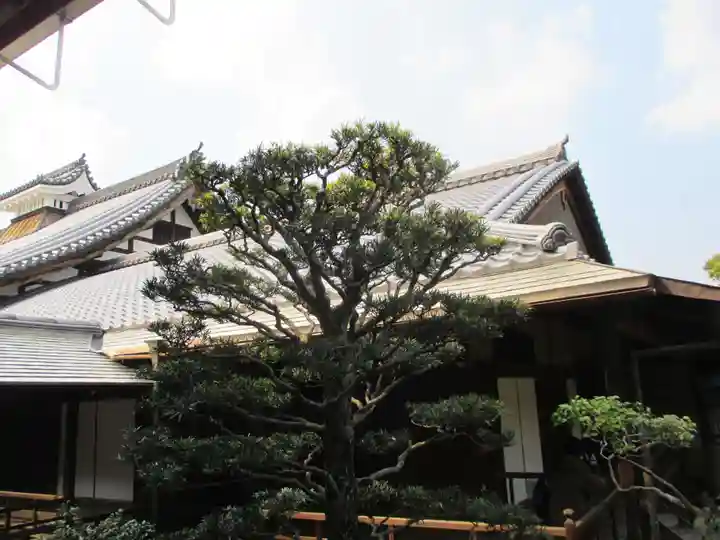 龍泉菴(京都府)