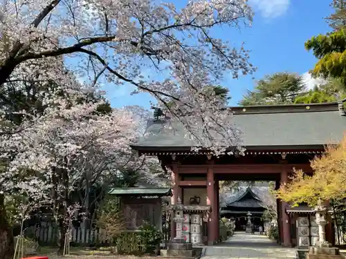 大宝八幡宮の山門・神門