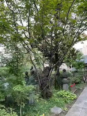 心光寺(東京都)