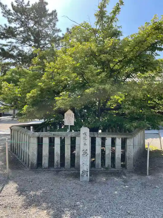 鶴林寺(兵庫県)