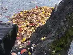 伊和志津神社の自然