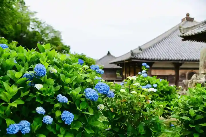 浄土寺(兵庫県)