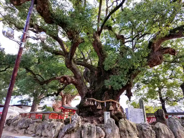 宇美八幡宮の自然