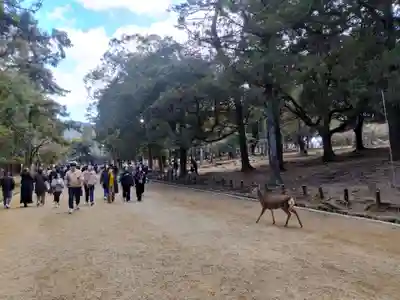 春日大社(奈良県)