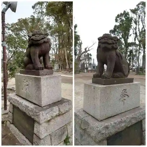 飯香岡八幡宮の狛犬