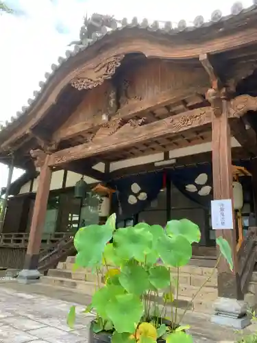 松尾山　青蓮寺の景色