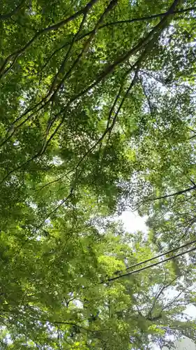 下総国三山　二宮神社(千葉県)