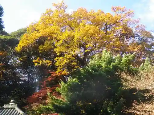 安國論寺（安国論寺）の景色