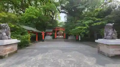 枚聞神社の{uncategorized: "未分類", other: "その他", undefined: "問題あり", building: "その他建物", grave: "お墓", sacred_gate: "鳥居", guardian: "狛犬", statue: "像", buddha: "仏像", history: "歴史", nature: "自然", garden: "庭園", animal: "動物", pagoda: "塔", temizu: "手水舎", mountain_gate: "山門・神門", sanctuary: "本殿・本堂", subordinate: "末社・摂社", art: "芸術", scenery: "景色", jizo: "地蔵", ema: "絵馬", goshuin: "御朱印", omikuji: "おみくじ", items: "授与品その他", amulet: "お守り", goshuincho: "御朱印帳", eats: "食事", festival: "お祭り", votive_dance: "神楽", shichigosan: "七五三参", wedding: "結婚式", experience: "体験その他", initially: "初詣", around: "周辺", anti_infection: "感染症対策"}