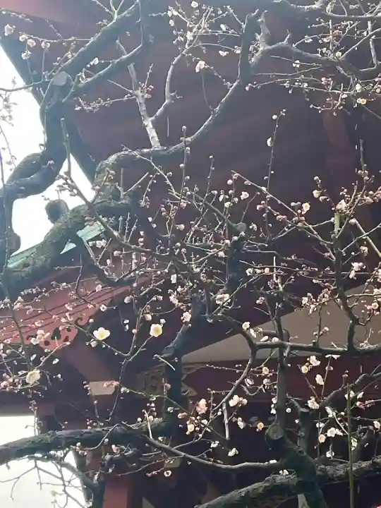亀戸天神社の{uncategorized: "未分類", other: "その他", undefined: "問題あり", building: "その他建物", grave: "お墓", sacred_gate: "鳥居", guardian: "狛犬", statue: "像", buddha: "仏像", history: "歴史", nature: "自然", garden: "庭園", animal: "動物", pagoda: "塔", temizu: "手水舎", mountain_gate: "山門・神門", sanctuary: "本殿・本堂", subordinate: "末社・摂社", art: "芸術", scenery: "景色", jizo: "地蔵", ema: "絵馬", goshuin: "御朱印", omikuji: "おみくじ", items: "授与品その他", amulet: "お守り", goshuincho: "御朱印帳", eats: "食事", festival: "お祭り", votive_dance: "神楽", shichigosan: "七五三参", wedding: "結婚式", experience: "体験その他", initially: "初詣", around: "周辺", anti_infection: "感染症対策"}