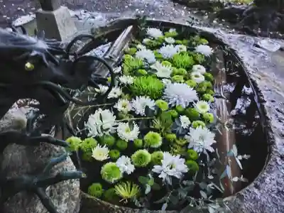 立志神社の手水舎