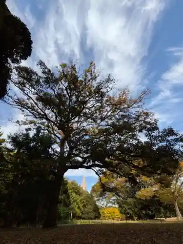 明治神宮(東京都)