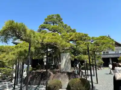花岳寺(兵庫県)