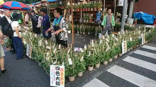 真源寺（入谷鬼子母神）(東京都)