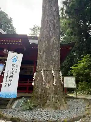 富士山東口本宮 冨士浅間神社(静岡県)