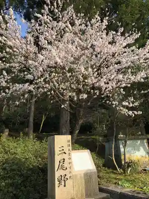 気比神社の自然