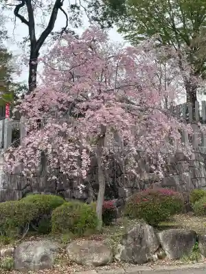 永光寺(牡丹不動尊) の{uncategorized: "未分類", other: "その他", undefined: "問題あり", building: "その他建物", grave: "お墓", sacred_gate: "鳥居", guardian: "狛犬", statue: "像", buddha: "仏像", history: "歴史", nature: "自然", garden: "庭園", animal: "動物", pagoda: "塔", temizu: "手水舎", mountain_gate: "山門・神門", sanctuary: "本殿・本堂", subordinate: "末社・摂社", art: "芸術", scenery: "景色", jizo: "地蔵", ema: "絵馬", goshuin: "御朱印", omikuji: "おみくじ", items: "授与品その他", amulet: "お守り", goshuincho: "御朱印帳", eats: "食事", festival: "お祭り", votive_dance: "神楽", shichigosan: "七五三参", wedding: "結婚式", experience: "体験その他", initially: "初詣", around: "周辺", anti_infection: "感染症対策"}