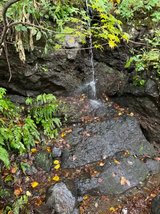 戸隠神社奥社(長野県)