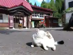 風巻神社の動物