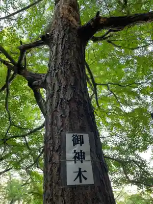 三島神社(徳島県)