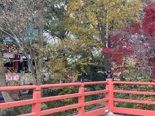 多摩川浅間神社の自然