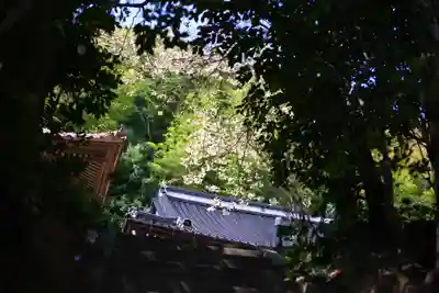 千光寺のその他建物