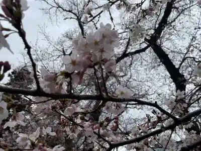 新田稲荷神社の自然