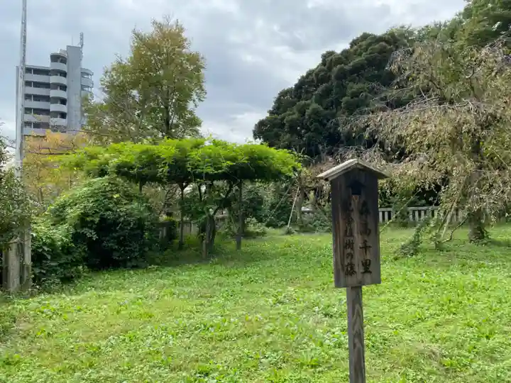 八雲神社(緑町)の御朱印