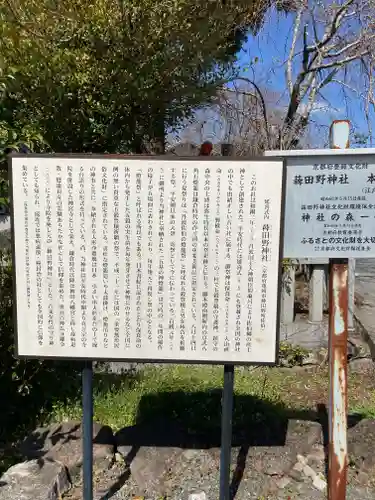 稗田野神社(薭田野神社)の歴史