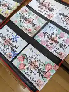 伊勢原 法泉寺の御朱印 2021年11月30日(火)〜(2021年11月30日(火) 13時06分33秒投稿)