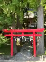 須山浅間神社(静岡県)